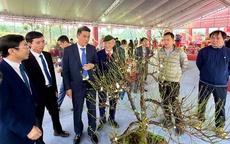 Quảng bá sản phẩm thủ công mỹ nghệ, thúc đẩy tiêu dùng dịp Tết