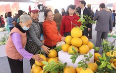 Đưa sản phẩm làng nghề, hình ảnh quê hương Đông Anh đến du khách