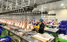 Siết chặt quản lý giết mổ nhỏ lẻ để bảo đảm an toàn thực phẩm