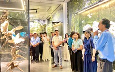 Đưa Bảo tàng Hà Nội trở thành điểm đến tiêu biểu của du lịch Thủ đô