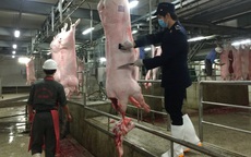 Siết chặt quản lý giết mổ, hướng tới giảm mạnh các điểm nhỏ lẻ