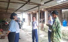 Các địa phương phấn đấu đến 30/6 dừng cơ sở giết mổ nhỏ lẻ