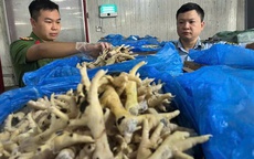 Công an Hà Nội phá đường dây buôn lậu hơn 1 triệu tấn chân gà