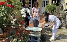 Phủ xanh không gian khám chữa bệnh vì sức khoẻ cộng đồng