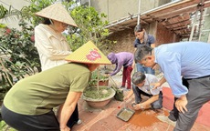 Ca mắc sốt xuất huyết và tay chân miệng gia tăng nhanh