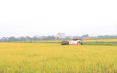 Hà Nội đẩy nhanh tiến độ, phấn đấu ban hành Bộ tiêu chí xã nông thôn mới
