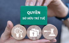 Hà Nội giám sát chặt chẽ livestream bán hàng giả trên TikTok, Facebook, Shopee