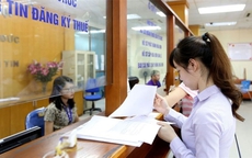 Doanh nghiệp cần rà soát, chuẩn hóa thông tin đăng ký thuế