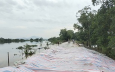 Chủ động ứng phó khi nhiều tuyến sông duy trì mức báo động III