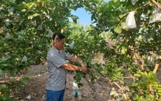 Phát triển nông nghiệp, nông dân, nông thôn gắn với mục tiêu nâng cao đời sống nhân dân