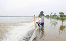 Báo động lũ trên nhiều sông, tăng cường ứng phó phòng chống thiên tai