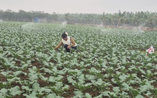 Nâng cao kỹ năng cho 15.383 lượt nông dân sản xuất, kinh doanh giỏi