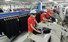 Hà Nội phân công triển khai thực hiện Nghị quyết số 216/NQ-CP của Chính phủ