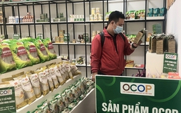 Nearly 600 new OCOP products recognized