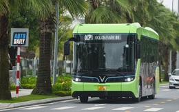Electric buses for environmental protection