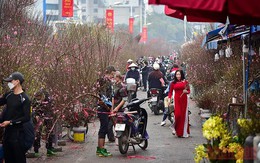Ha Noi sustains leading position in building new-style rural areas