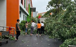 Ha Noi grants tax relief for Yagi flood victims