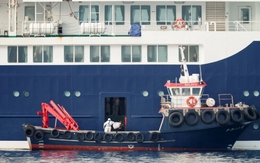 Ha Noi activates Hanta virus surveillance after international warnings