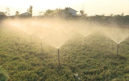Revised Capital Law promotes high-tech agriculture linked to environmental protection
