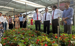 Liên kết và đa dạng hóa sản phẩm để tạo bứt phá cho du lịch Thủ đô