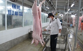 Xử lý dứt điểm cơ sở giết mổ gia súc, gia cầm nhỏ lẻ, tự phát
