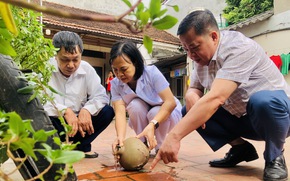 Ghi nhận gần 400 ca mắc sốt xuất huyết trong 1 tuần