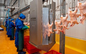 H&#224; Nội tăng cường gi&#225;m s&#225;t, cảnh b&#225;o sớm để bảo đảm thực phẩm an to&#224;n từ trang trại tới b&#224;n ăn