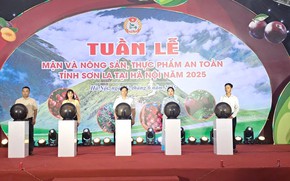 Quảng bá mận và nông sản an toàn tỉnh Sơn La đến người dân Thủ đô