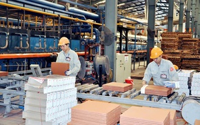 Chuy&#234;n gia hiến kế để H&#224; Nội ph&#225;t triển kinh tế tư nh&#226;n