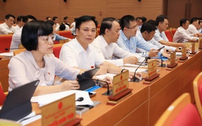 Thông qua Nghị quyết quy định chính sách hỗ trợ sản xuất nông nghiệp