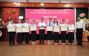 H&#224; Nội: 4 mẫu nước thải chăn nu&#244;i lợn dương t&#237;nh với dịch tả lợn ch&#226;u Phi