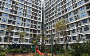 Dự b&#225;o thị trường gi&#225; chung cư cũ tại H&#224; Nội cuối năm 2025