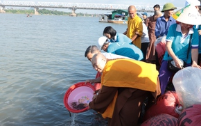 Thả cá tái tạo nguồn lợi thuỷ sản