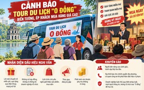Cảnh báo tour du lịch '0 đồng' biến tướng, ép khách mua hàng giá cao