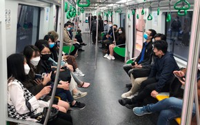 Hà Nội miễn phí đi tàu điện và xe buýt cho hành khách dịp Tết