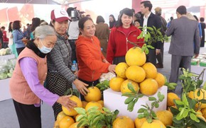 Đưa sản phẩm làng nghề, hình ảnh quê hương Đông Anh đến du khách