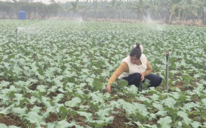 Tăng cường kiểm soát an toàn thực phẩm tại các xã vùng ngoại thành