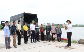 Phát triển mô hình trồng sen thích ứng với biến đổi khí hậu