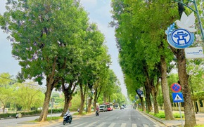 Hướng tới đô thị xanh, Hà Nội đặt mục tiêu 80% ngày có chất lượng không khí đạt chuẩn