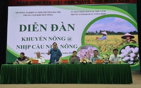 Phát huy vai trò liên kết '4 nhà' tại Diễn đàn Khuyến nông @ Nhịp cầu nhà nông