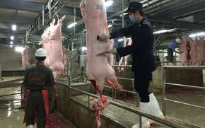 Siết chặt quản lý giết mổ, hướng tới giảm mạnh các điểm nhỏ lẻ