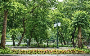 Hà Nội từng bước kiến tạo không gian xanh, hướng tới ‘rừng trong phố, phố trong rừng’