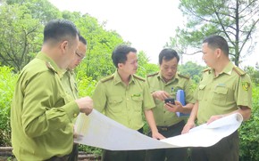 Hà Nội đẩy nhanh tiến độ rà soát đất lâm nghiệp, siết chặt quản lý tài nguyên rừng
