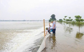 Báo động lũ trên nhiều sông, tăng cường ứng phó phòng chống thiên tai