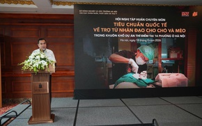 Hà Nội mở rộng tập huấn tiêu chuẩn quốc tế về trợ tử nhân đạo cho chó, mèo