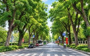 Hà Nội xây dựng kế hoạch trồng cây, trồng rừng gắn với mục tiêu phát triển Thủ đô xanh
