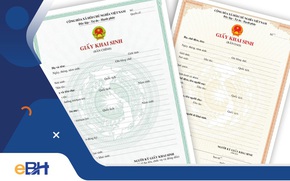 Thí điểm mô hình hỗ trợ thủ tục đăng ký khai sinh tại Bệnh viện Phụ sản Hà Nội