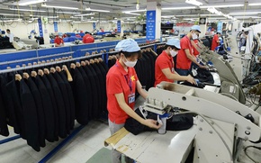 Hà Nội phân công triển khai thực hiện Nghị quyết số 216/NQ-CP của Chính phủ