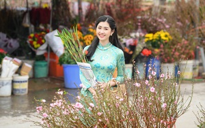 Ha Noi to host 70 Spring flower markets this Tet Holiday