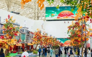First Golden Autumn Fair draws record-breaking visitors
